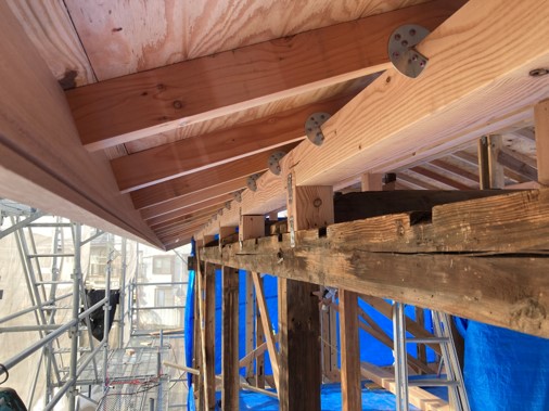 緑道を望む住まい