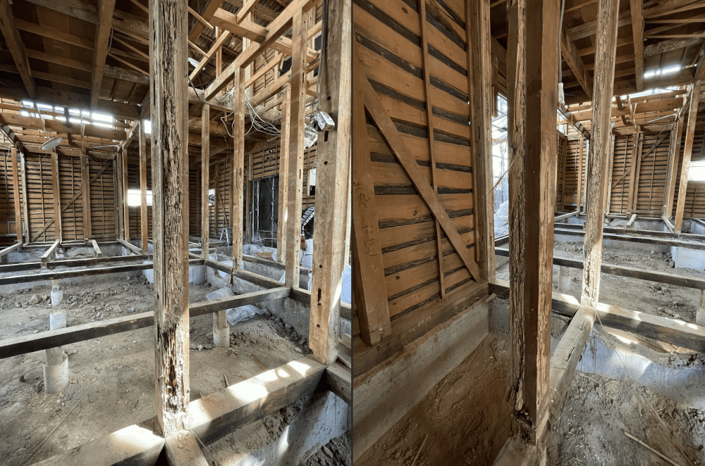 家族の記憶と未来を繋ぐ、家の再生物語