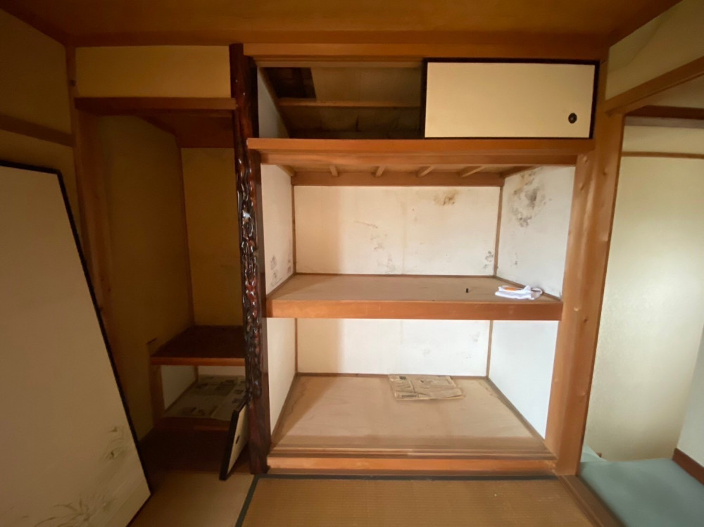 一年中ヒーターなしで熱帯魚が泳ぐ家