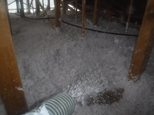 ⤴spec⤴asset  ミッケタ！