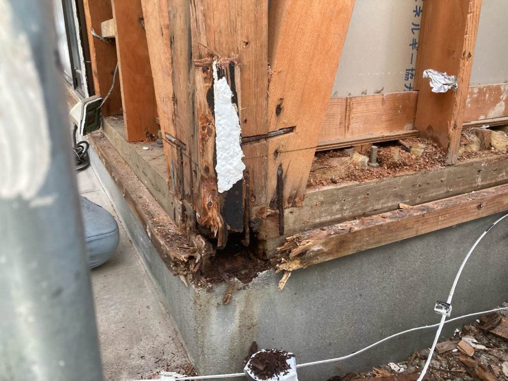 ⤴spec⤴asset  ミッケタ！