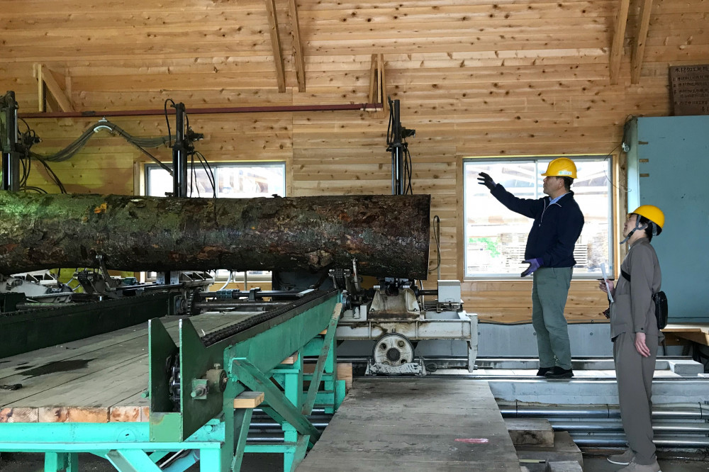 「モードを変えて生きながらえる」 住居 兼 オフィス