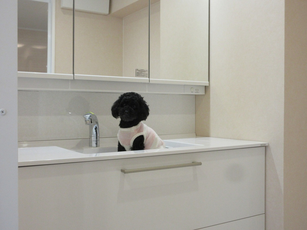 愛犬と暮らす理想のお部屋