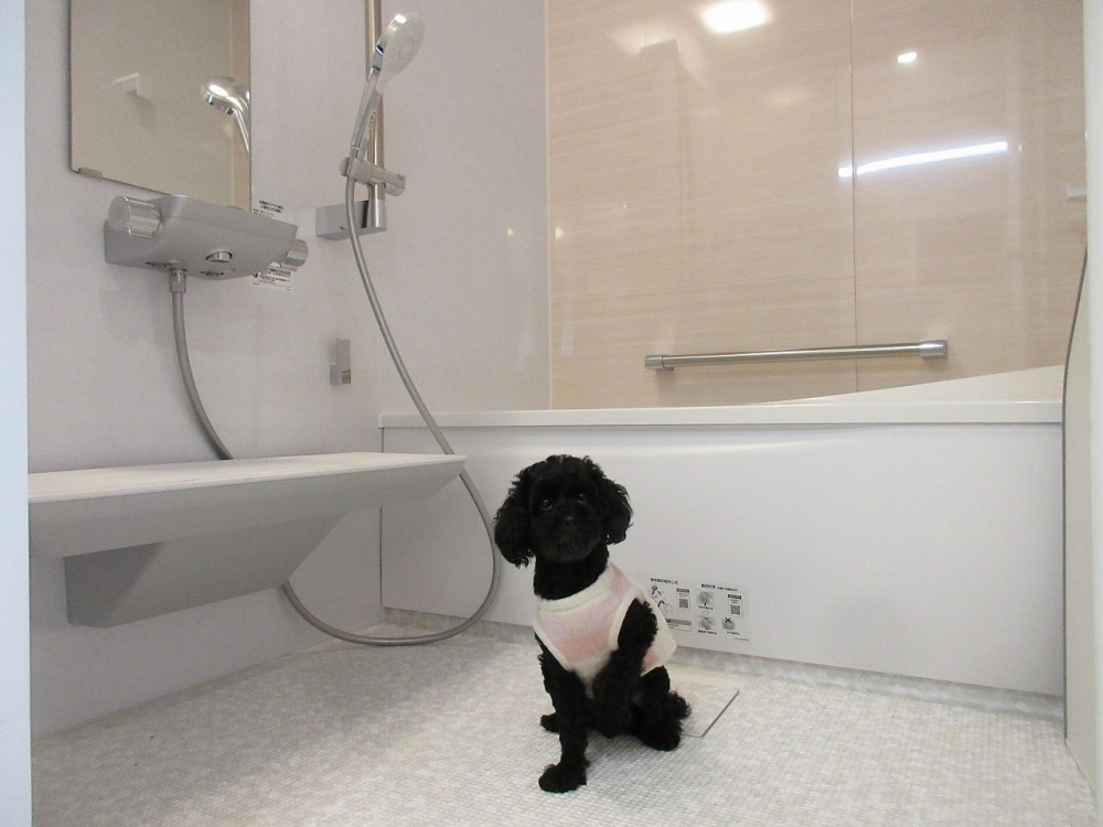 愛犬と暮らす理想のお部屋