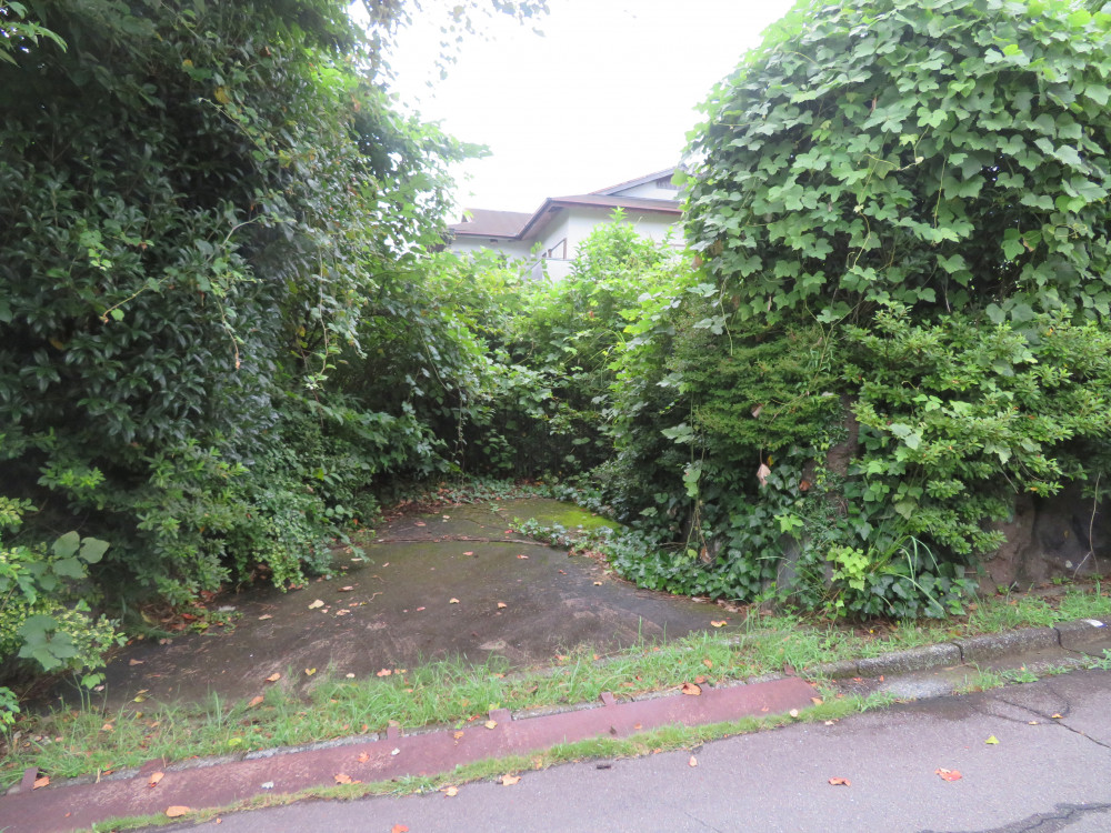 欄間の記憶と開かれたデッキの家