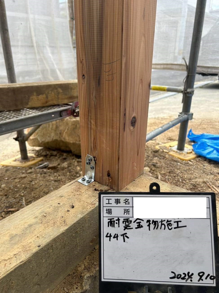 人も犬も快適に...長期優良住宅で長く暮らせるお家