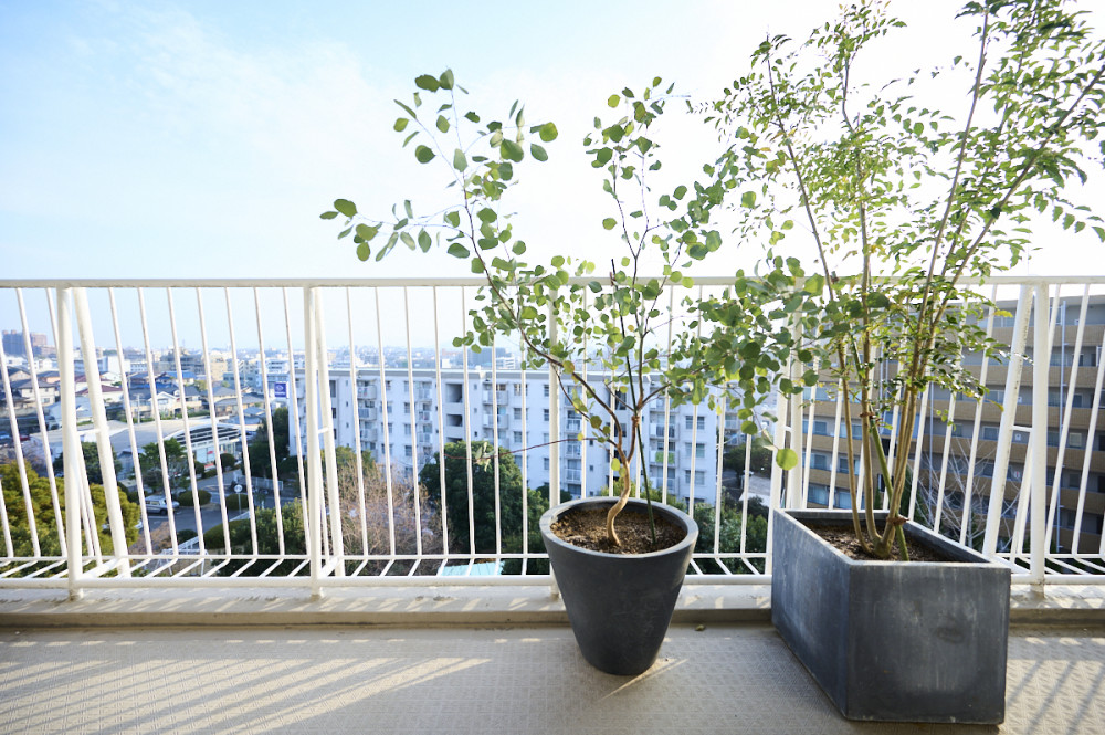 Workation House ～暮らす、働く、考える～ 断熱 ＋ 仕事と暮らしが両立できる家